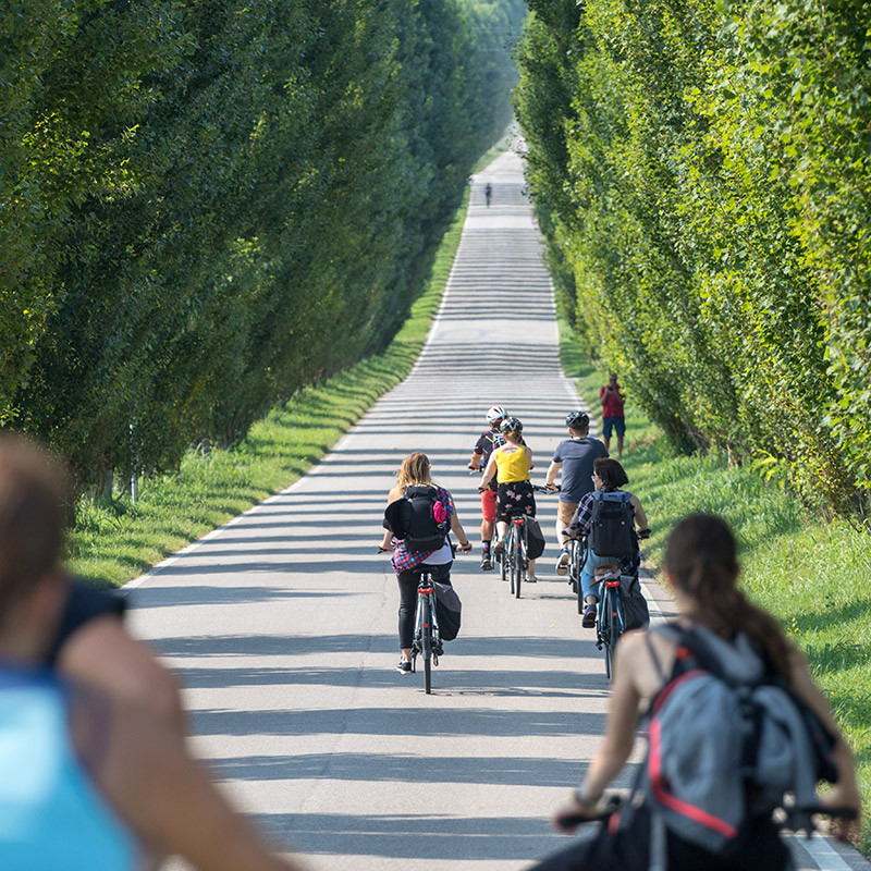 Cycle Tracks